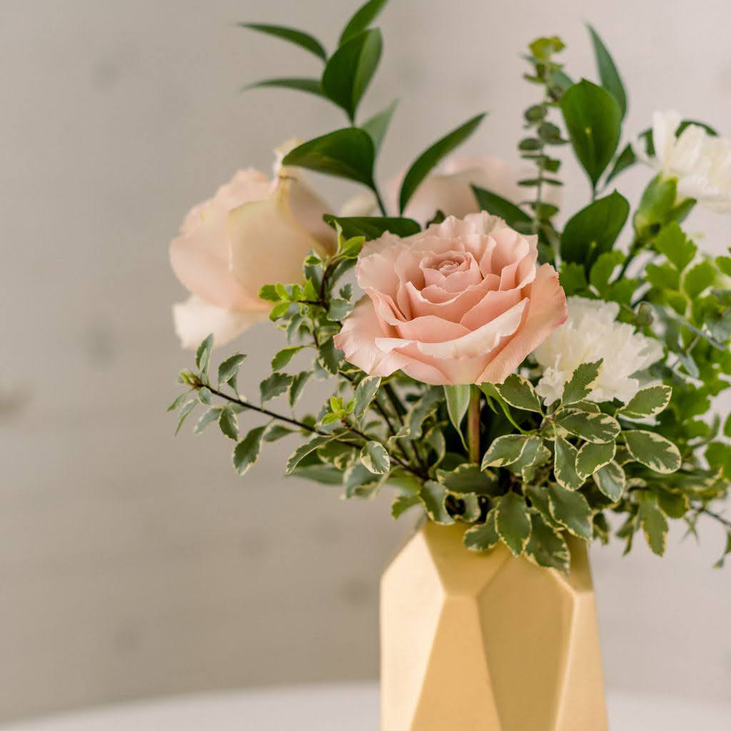 Bar/Registration Arrangement - Image 2